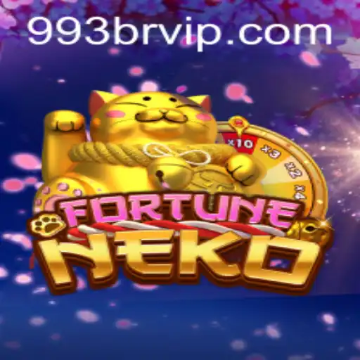 993br.com Casino App