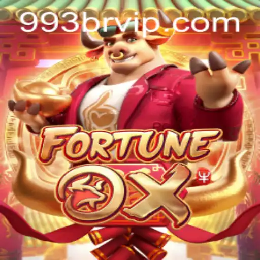 993br.com Casino App