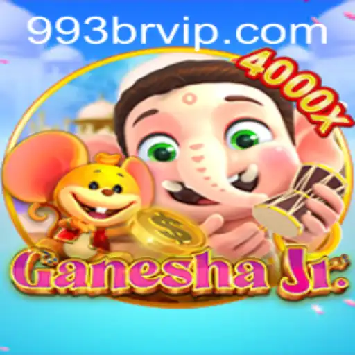 993br.com Casino App