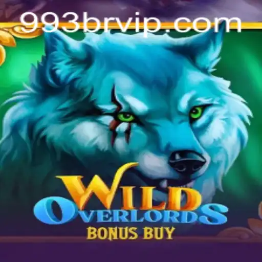 993br.com About Us